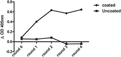 Development and Characterization of <mark class="highlighted">Nanobodies</mark> Targeting the Kupffer Cell